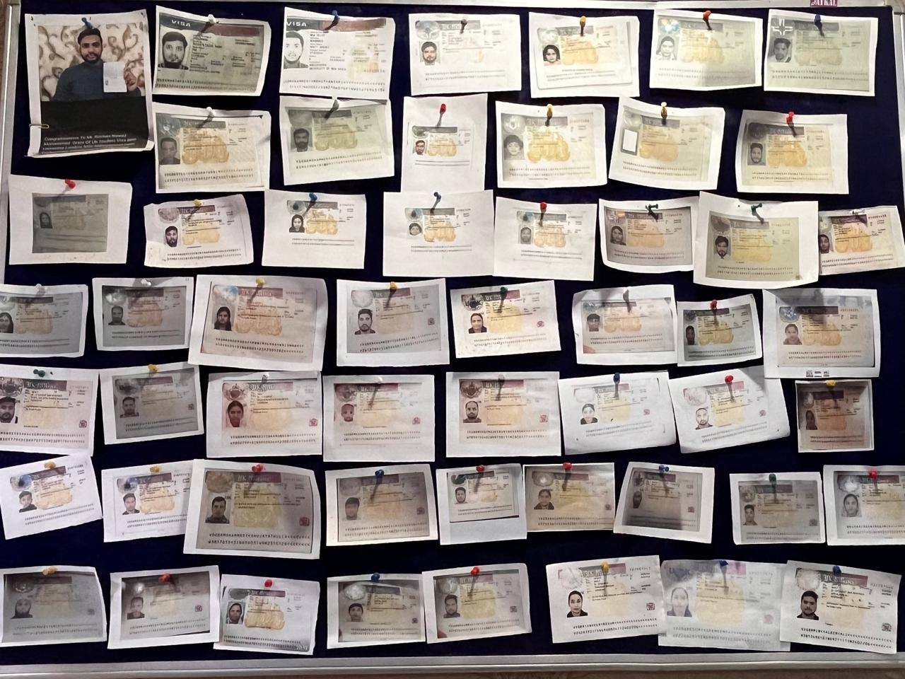 Student success stories with Study Plus Consultants